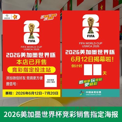 2026世界杯投注策略深度解析与实用指南