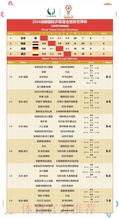 世界杯官方比分解析与赛果深度解读